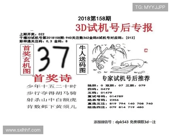 3D彩神通关注码金码与对应码的全面解析与应用技巧分享 3D彩神通关注码金码与对应码的全面解析与应用技巧分享